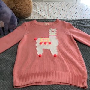 Crewcuts junior cotton sweater